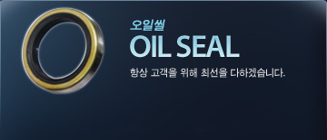 OIL SEAL